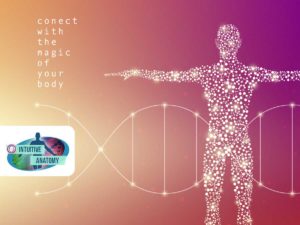 ThetaHealing® Intuitive Anatomie