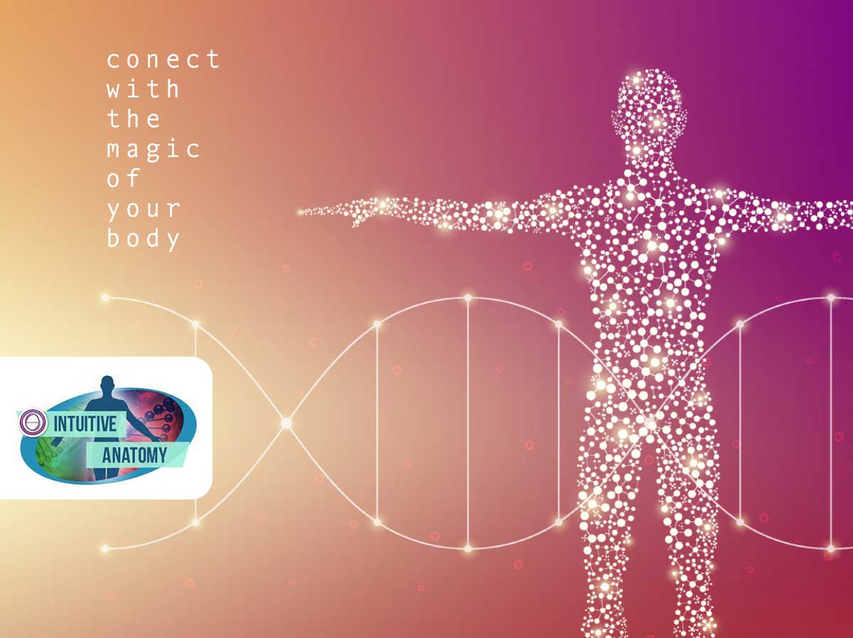ThetaHealing® Intuitive Anatomie
