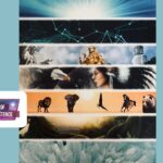 7 Ebenen der Existenz – alles über die Philosophie und Technik von ThetaHealing®